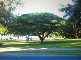 image-20120107235650.png